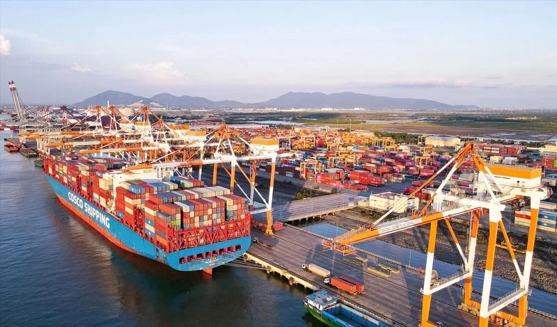 Thị trường phân phối quốc tế